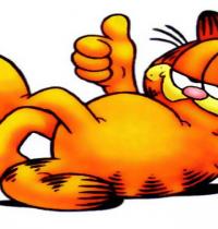 Zamob Naughty Garfield