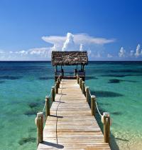 Zamob New Providence Island Bahamas
