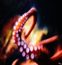 Zamob Octopus