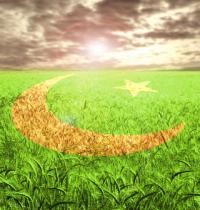 Zamob Pak Independence Day Flage