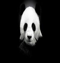 Zamob panda face