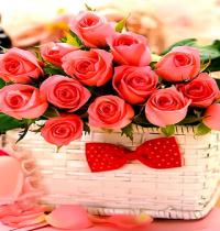 Zamob pink rose in basket