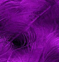 Zamob Purple Pattern