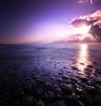 Zamob Purple Seascape