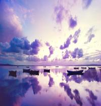 Zamob Purple Sunset in Ocean