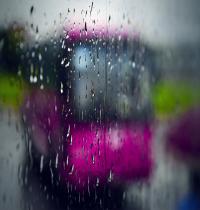 Zamob Rainy Day