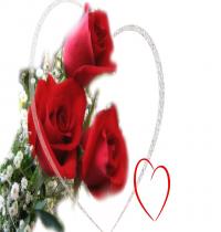 Zamob Red Rose Valentine Day