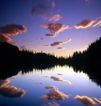 Zamob Reflection Lake Washington