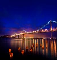 Zamob San Francisco Nights