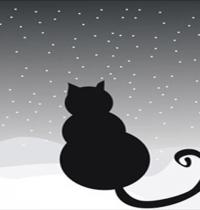 Zamob snow cat