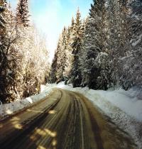 Zamob Snow Path