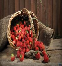 Zamob Strawberry Fruits