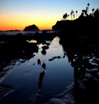 Zamob Sunset at Laguna Beach