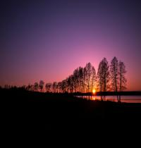 Zamob Sunset Silhouette