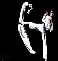 Zamob Taekwondo 03
