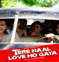 Zamob Tere Naal Love Ho Gaya Movie Poster in car
