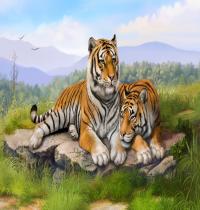 Zamob Tigers Art