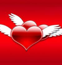 Zamob two winged heart