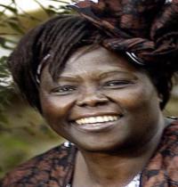 Zamob Wangari Maathai Bright Morning