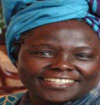 Zamob Wangari Maathai Nobel