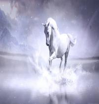 Zamob White Horse