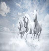 Zamob White Horses