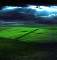 Zamob Windows Logo in Grass