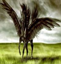 Zamob Winged Black Horse