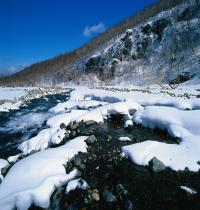 Zamob Winter Landscapes HD