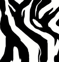 Zamob Zebra Pattern